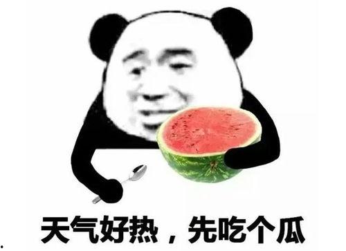小南瓜相机下载手机版 