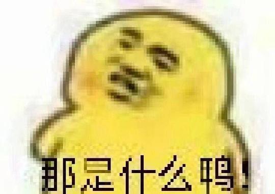 小南瓜相机下载手机版 