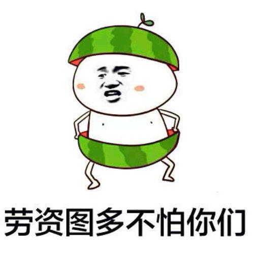 小南瓜相机下载手机版 