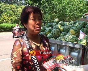 衡水掌上公交 
