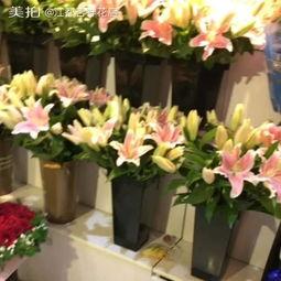 黑料吃瓜网apk普通安装 
