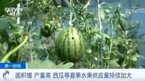 kingofglory(p站图2020年6/10~7/10)天堂图集 