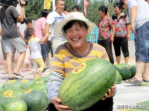 冀云沙河 