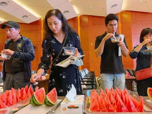 书海小说网免费小说 
