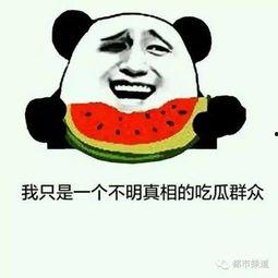 迷你吃鸡射击 