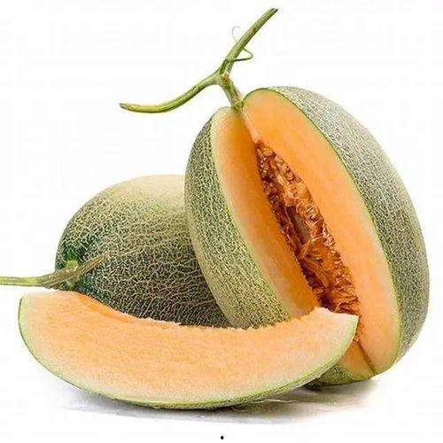 哈密瓜影视 