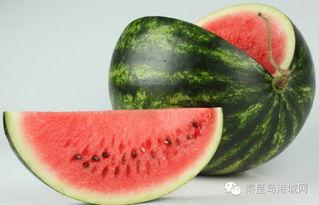 数字秦皇岛 